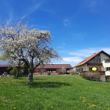Apartmán Bauer Haug Dietmannsried Exteriér fotografie