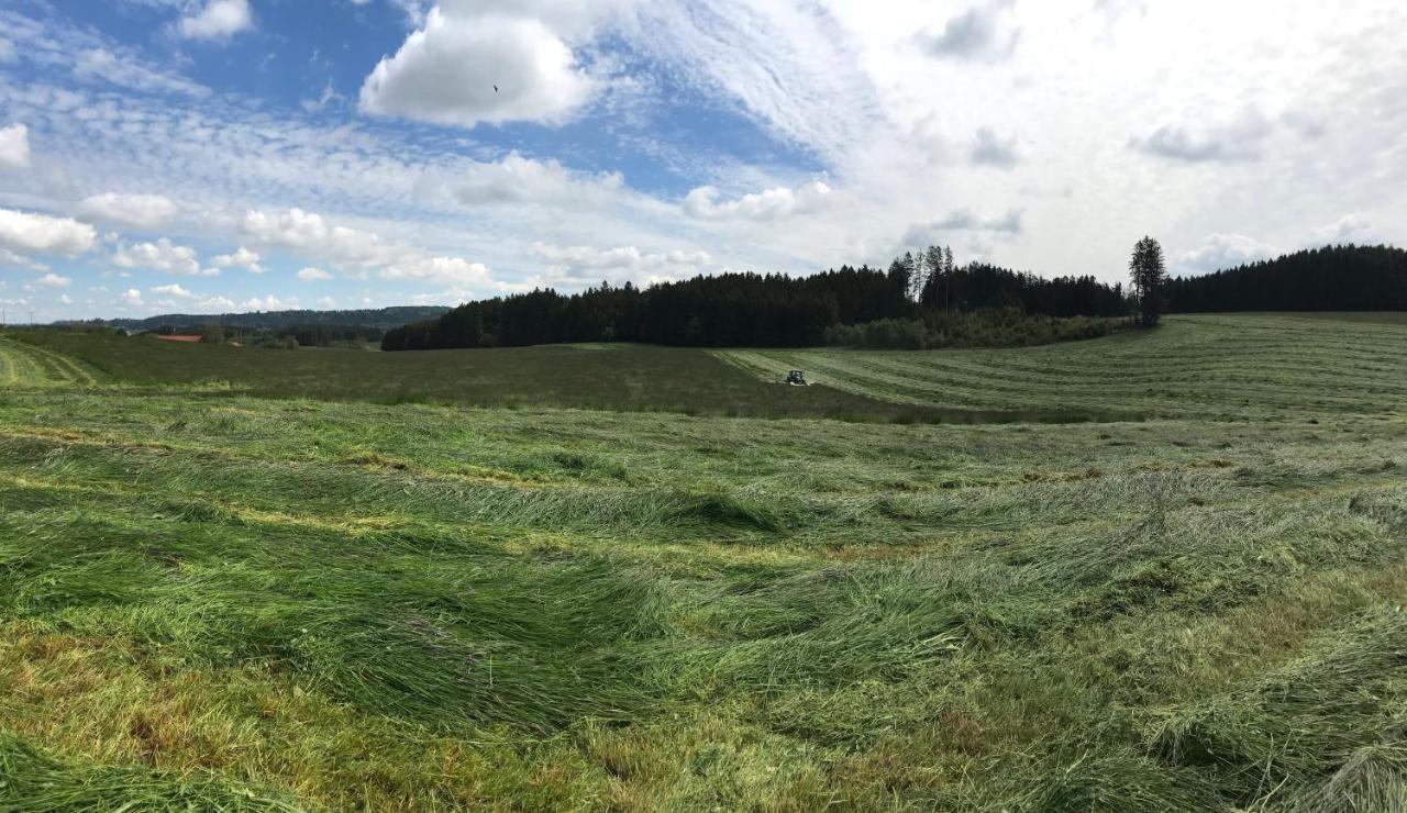 Apartmán Bauer Haug Dietmannsried Exteriér fotografie